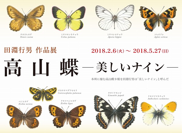 田淵行男作品展 高山蝶 ―美しいナイン― | 安曇野文化財団